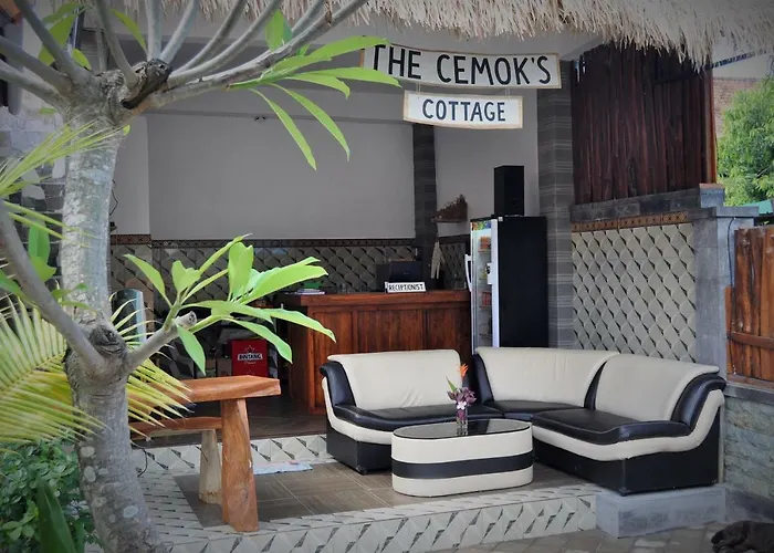 The Cemok's 3*